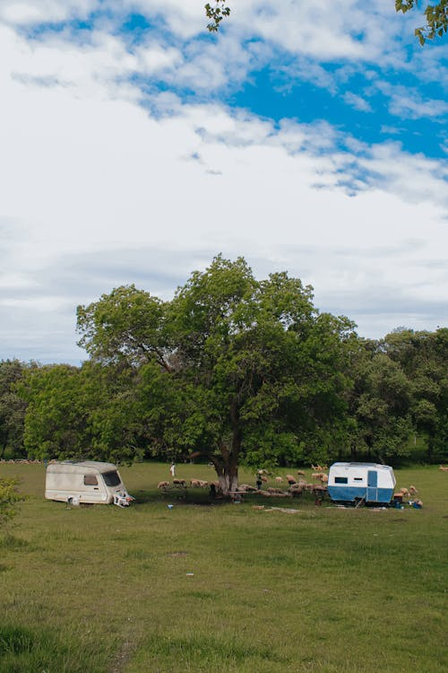 A camper van parked beside a tree on a grassy field with open space and distant hills.